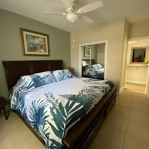 Beautiful In Tampa-a Apartment